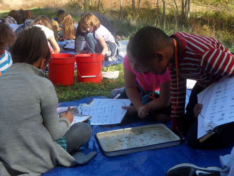 How Access to Nature During The School Year Can Help Students Thrive | KQED