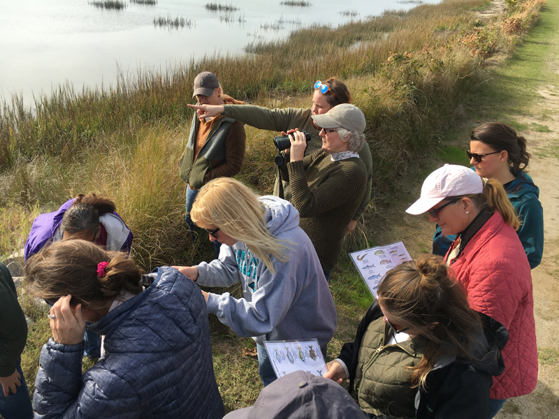 Thirteen South Carolina Educators Receive Palmetto Environmental Education Certification - S.C. Sea Grant Consortium